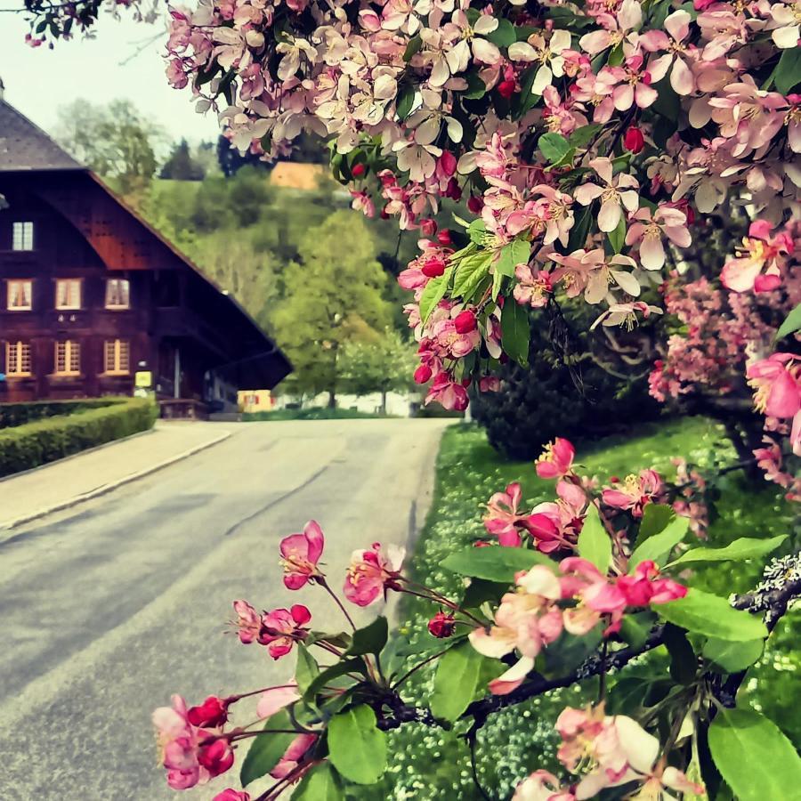 Emme Lodge Langnau im Emmental Extérieur photo